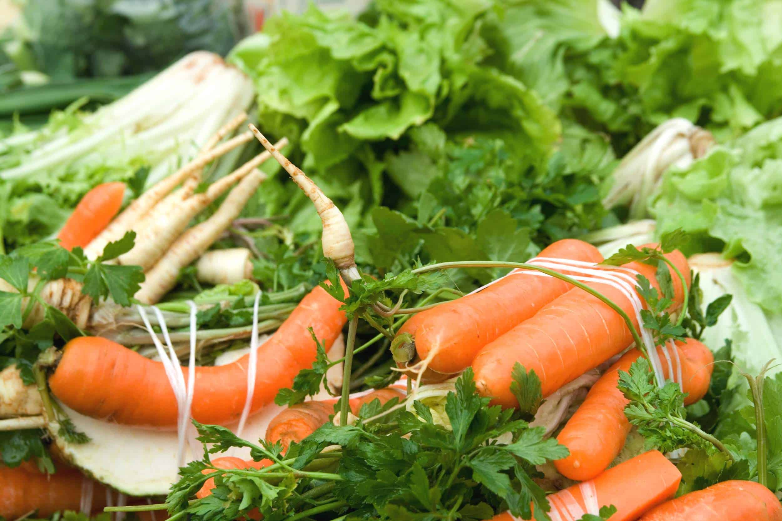 Système alimentaire